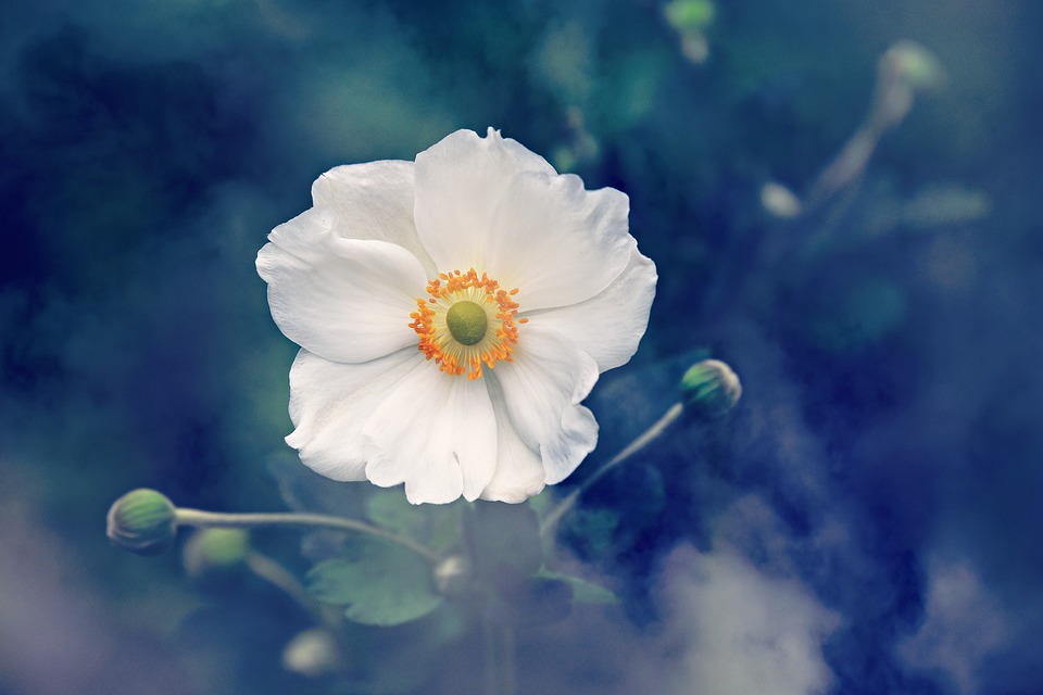 Poem Topics How To Write Amazing Poetry From Scratch